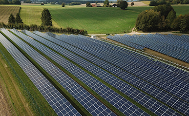  1GW! رينيسولا وأسس إيفل مشروعًا مشتركًا لتطوير مشاريع الطاقة الكهروضوئية في أوروبا